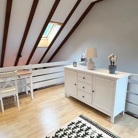 Galeriewohnung Mit Blick In Den Schwarzwald *