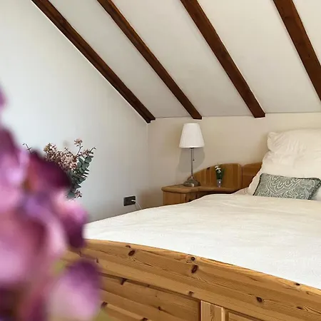 Galeriewohnung Mit Blick In Den Schwarzwald * Todtmoos