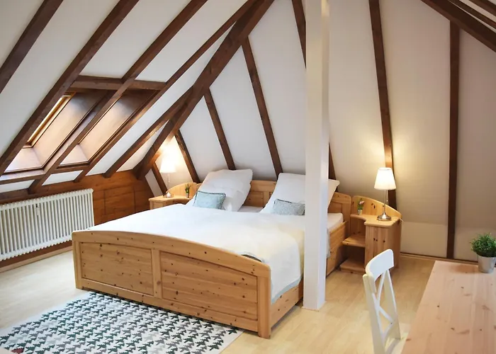 Appartement Galeriewohnung Mit Blick In Den Schwarzwald *