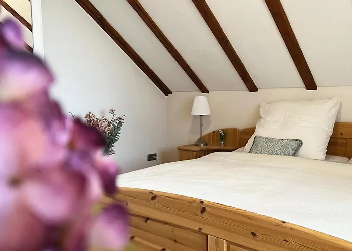 Galeriewohnung Mit Blick In Den Schwarzwald * Todtmoos